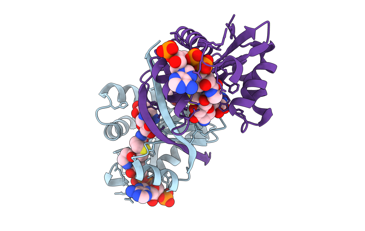 2VBQ image