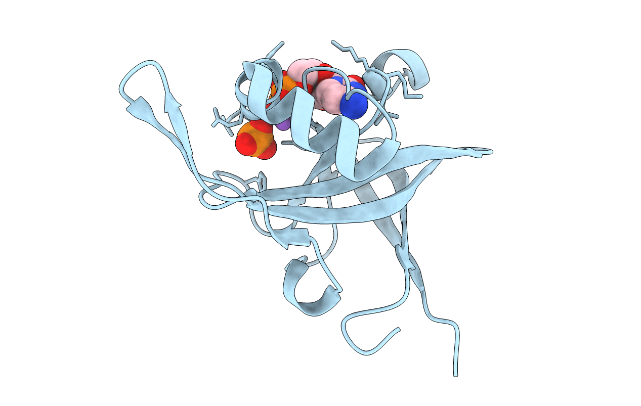 2VBT image