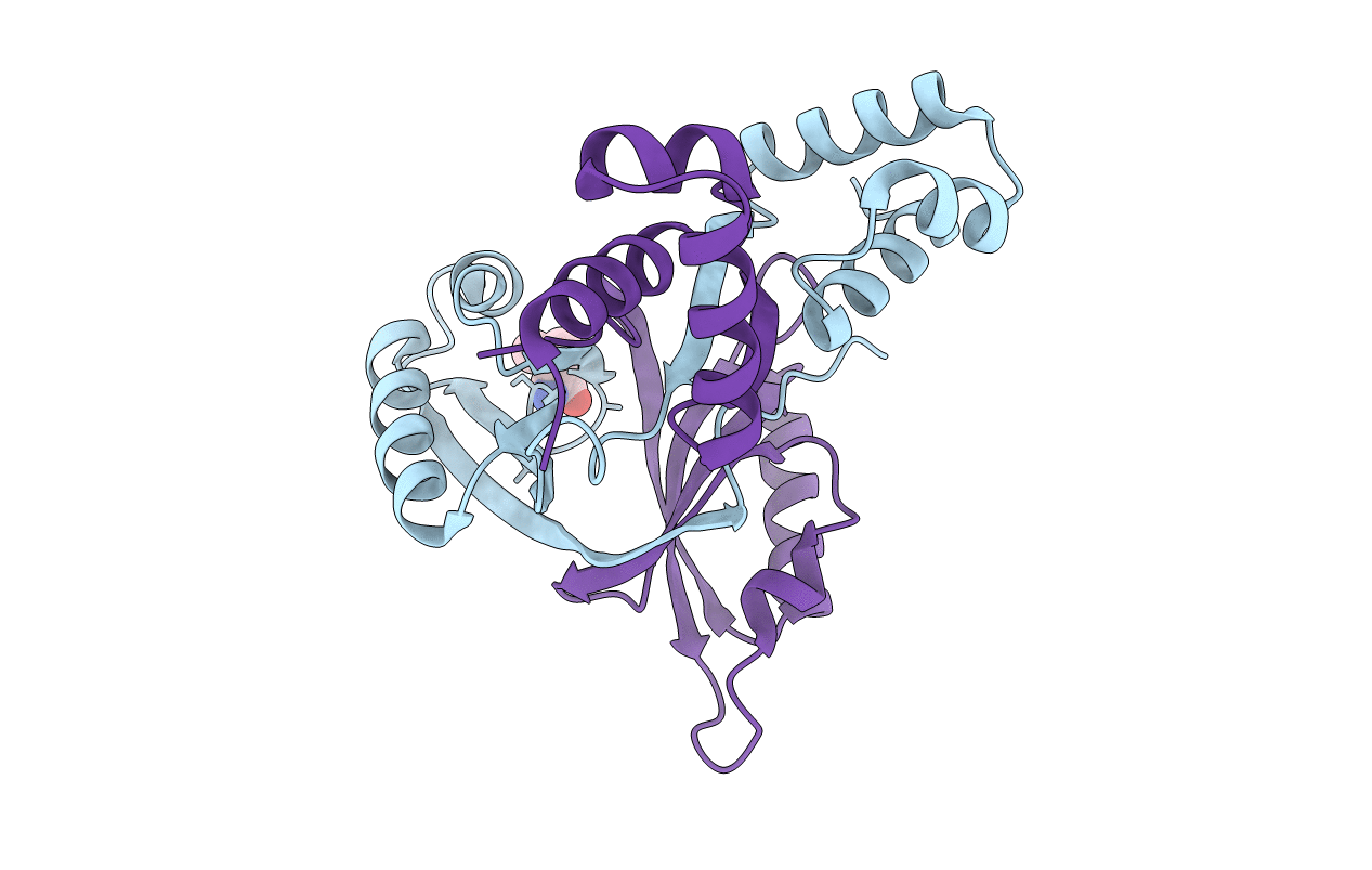 2VC0 image