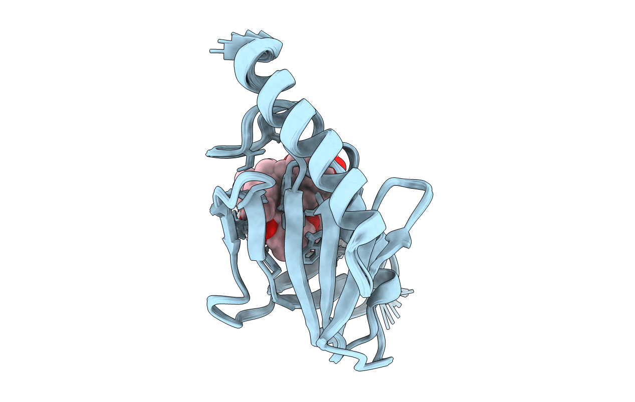 2VCD image