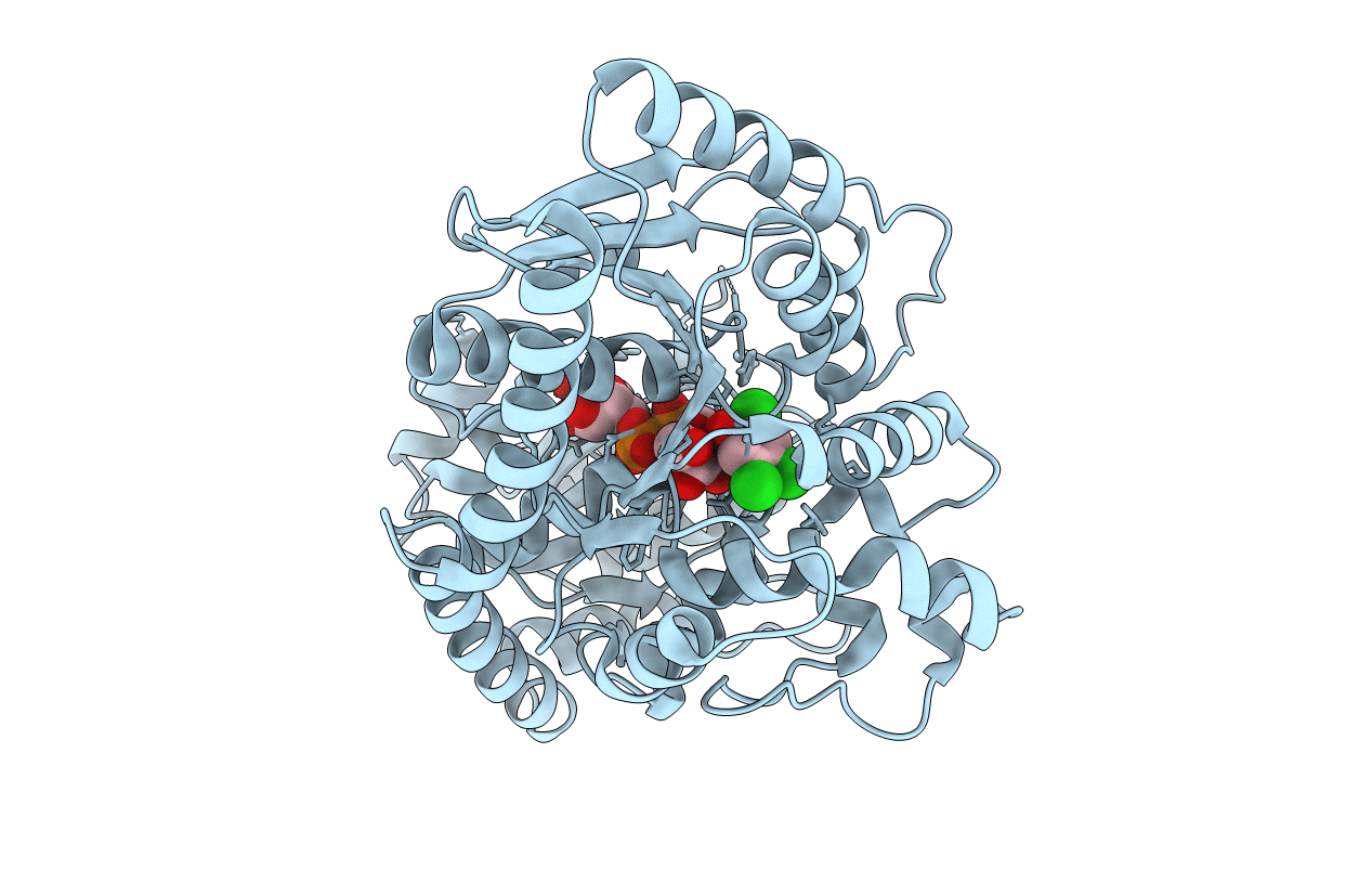 2VCE image