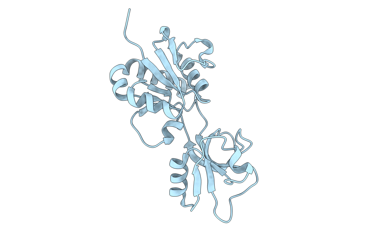2VD2 image