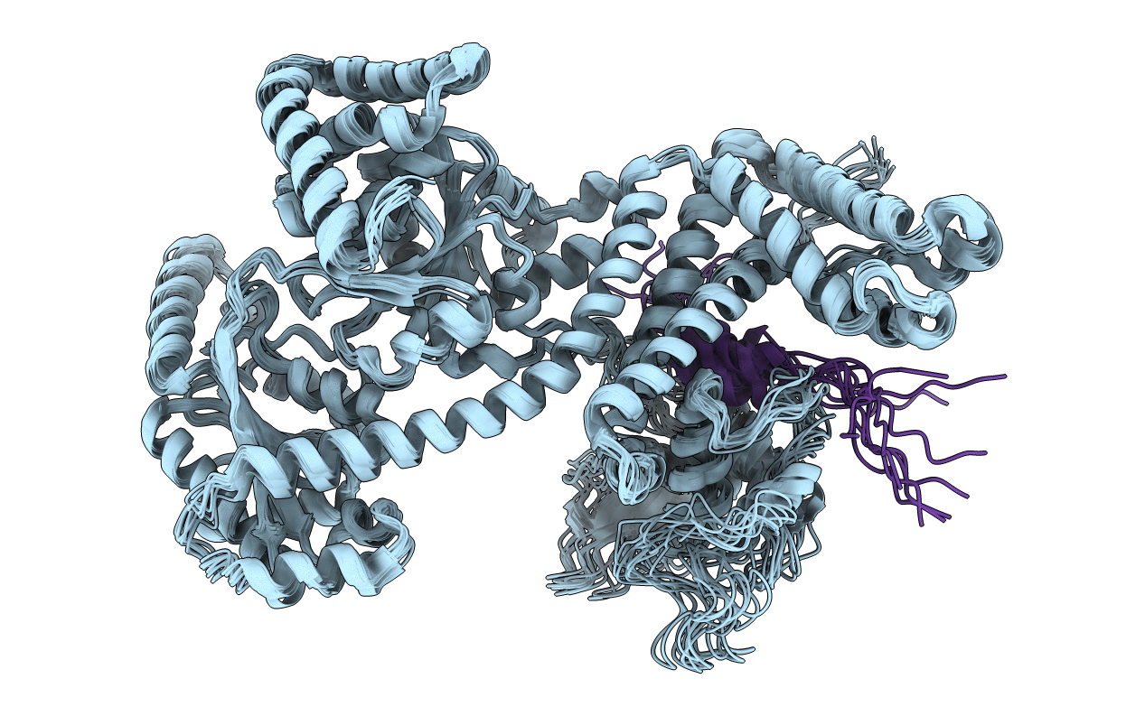 2VDA image