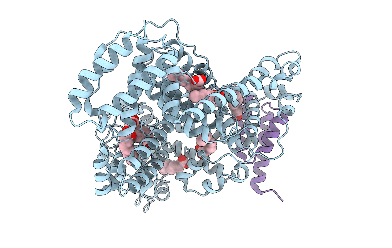 2VDB image