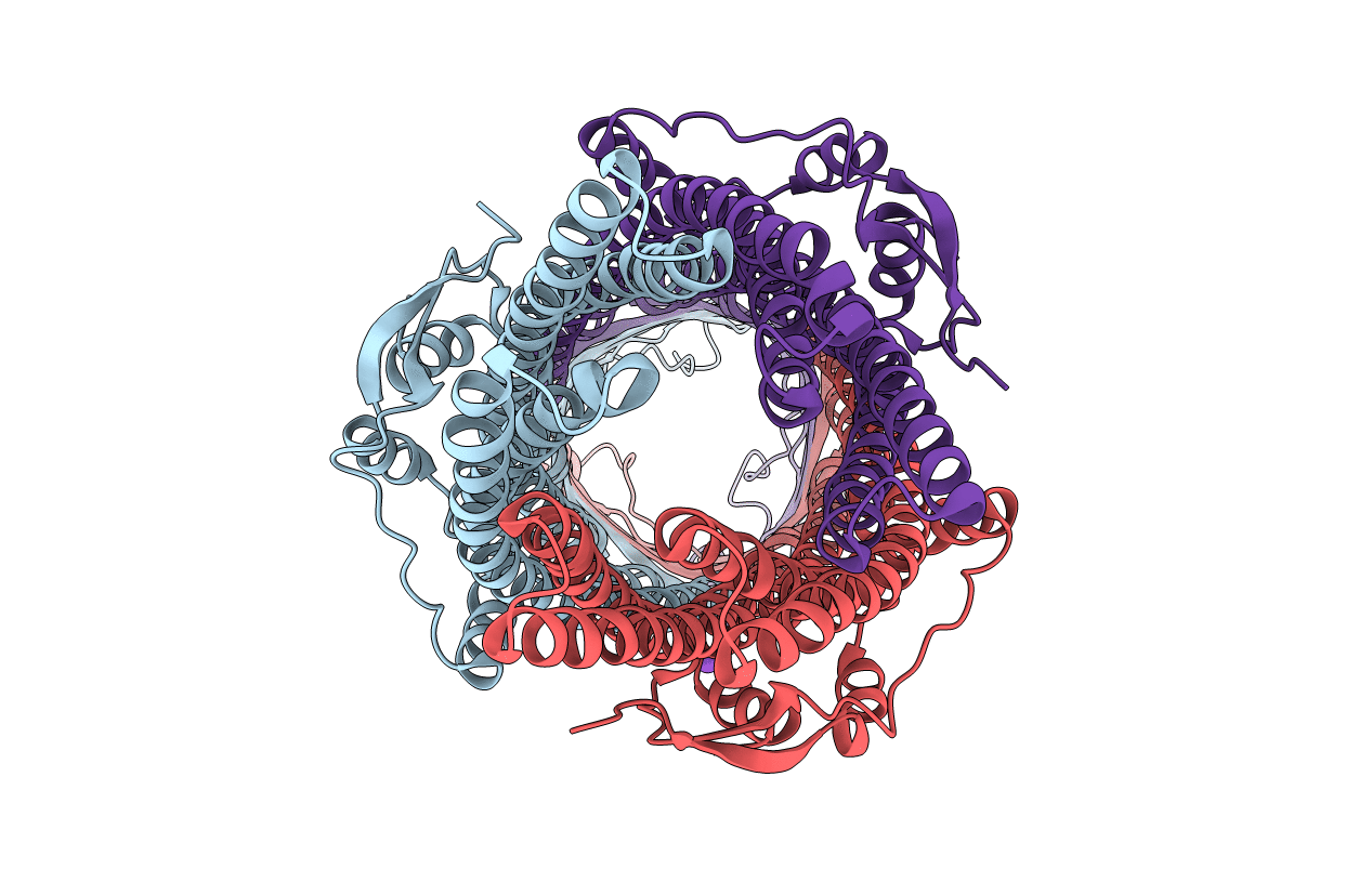 2VDD image
