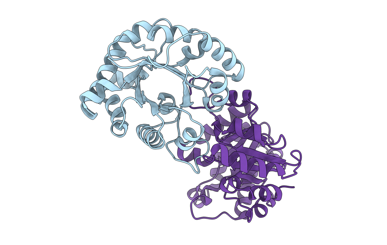 2VFF image