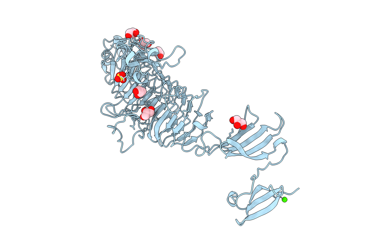 2VFP image