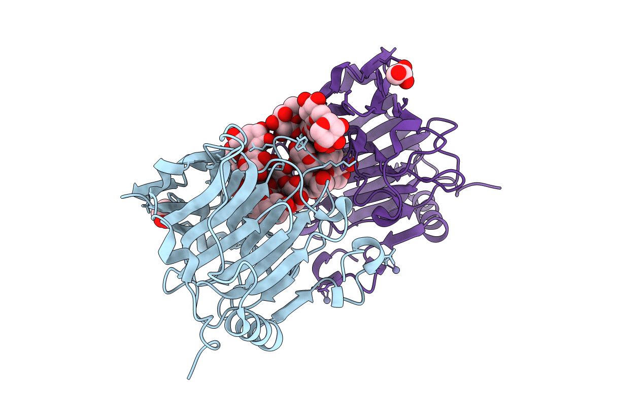 2VH9 image