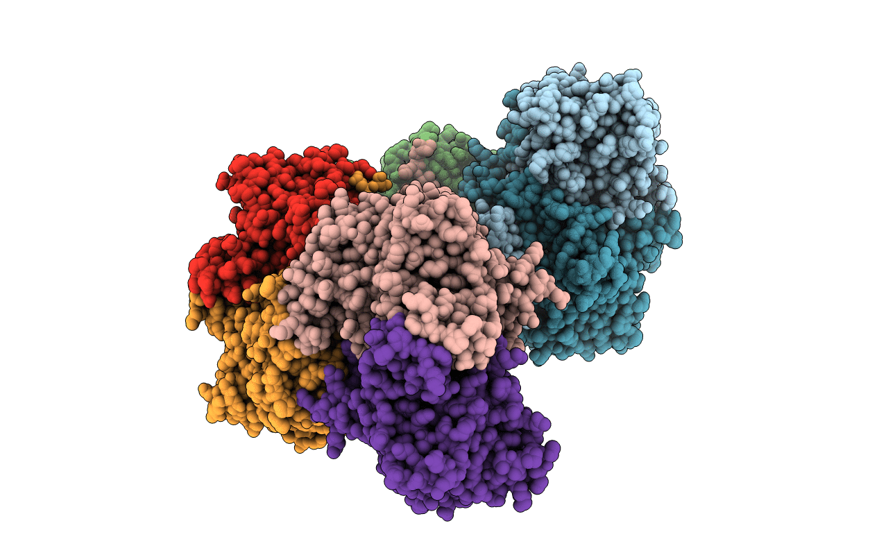2VHI image