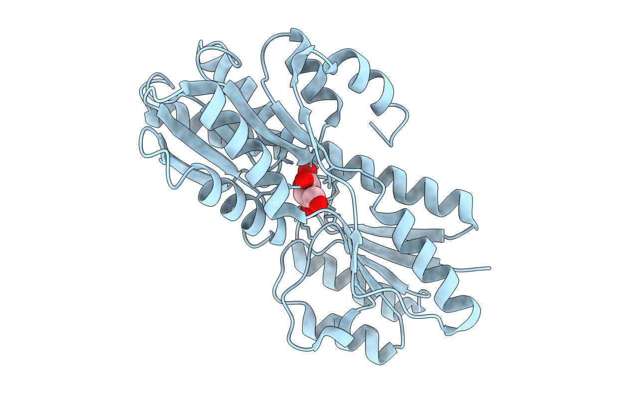 2VK2 image