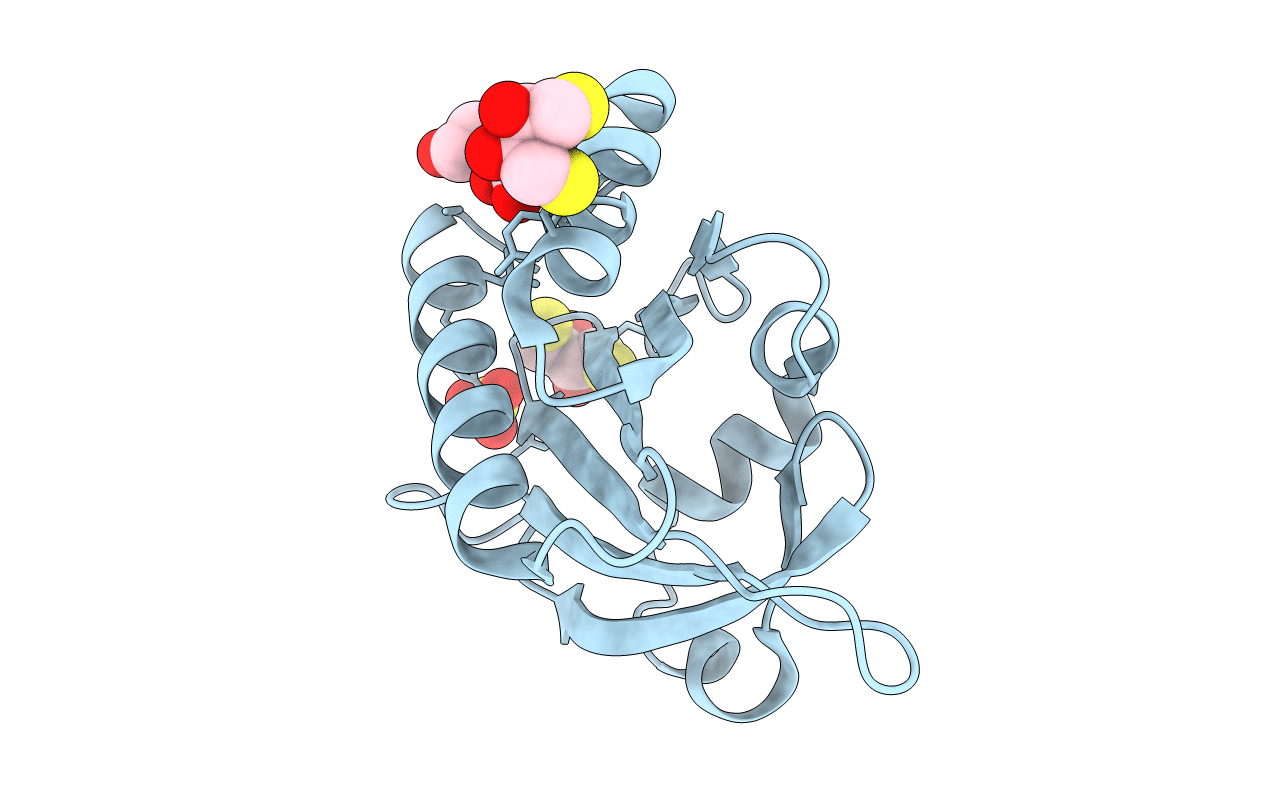 2VK3 image