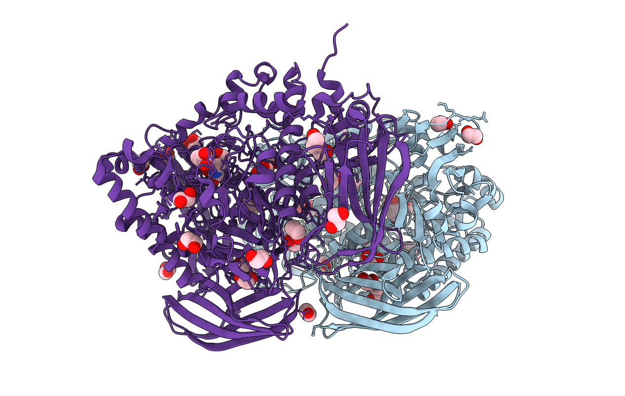 2VL4 image