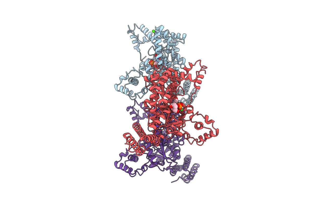 2VL8 image