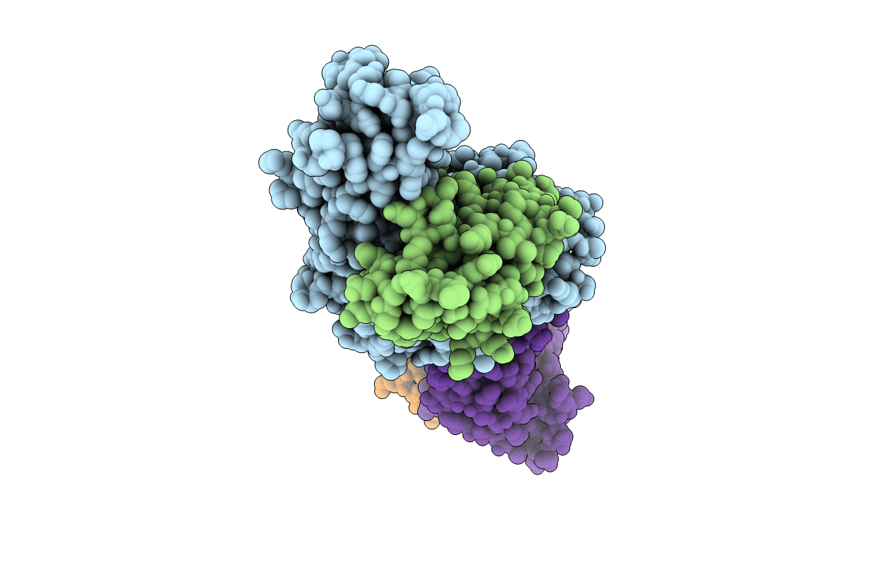 2VLK image