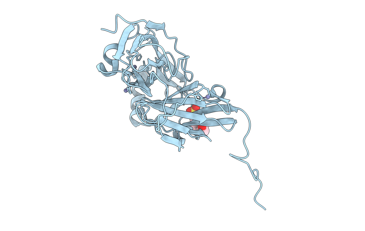 2VMJ image