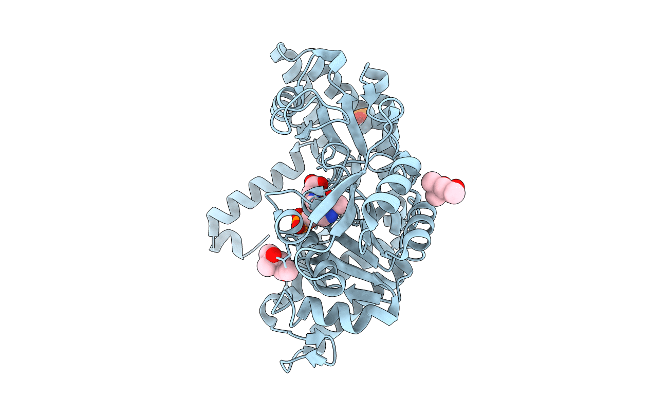 2VMO image