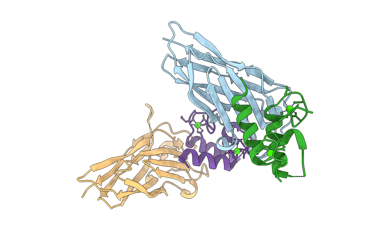 2VN5 image
