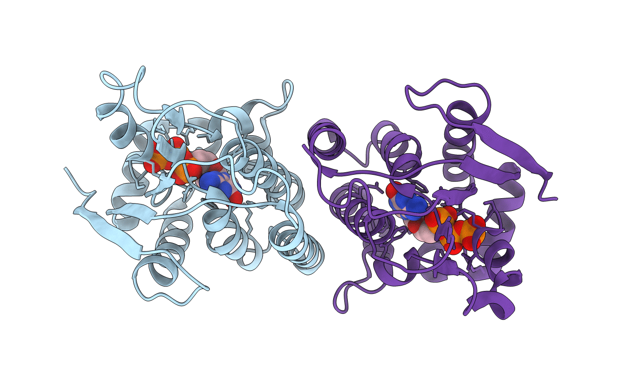 2VP2 image