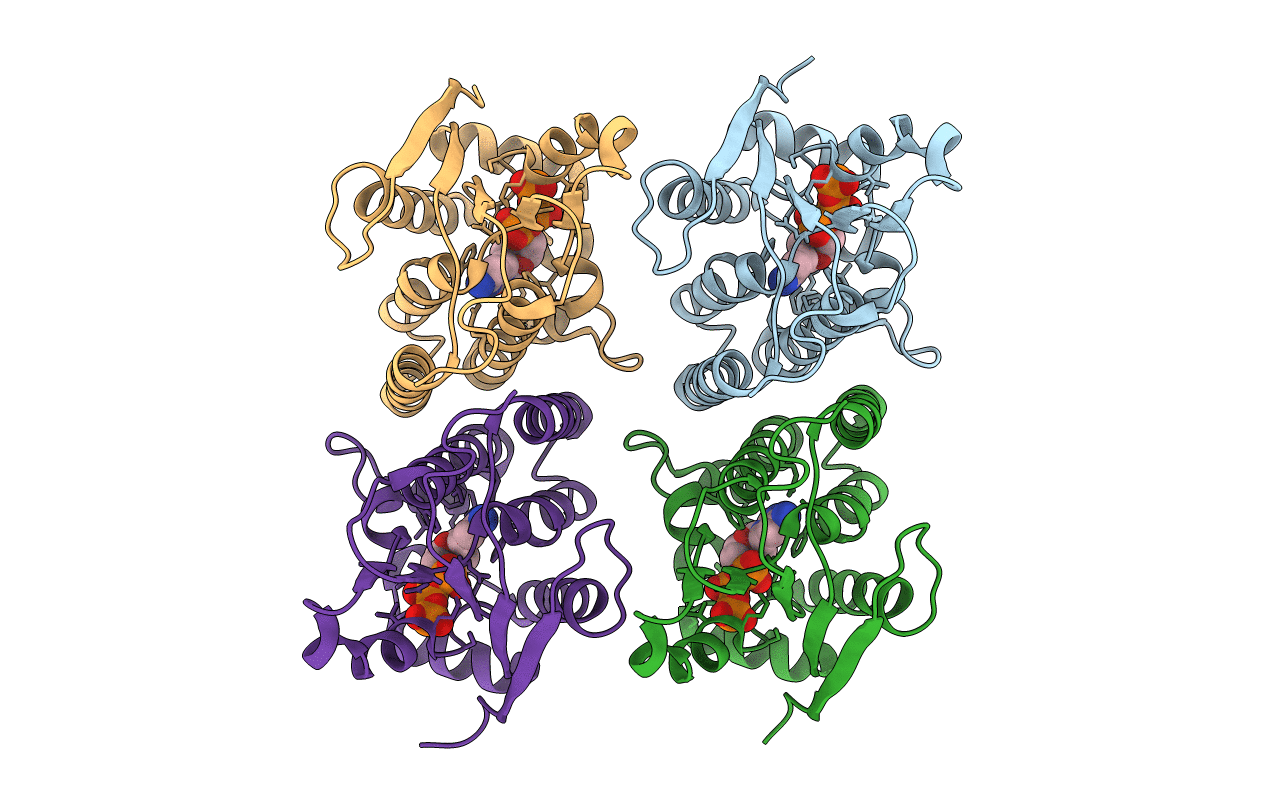 2VP4 image