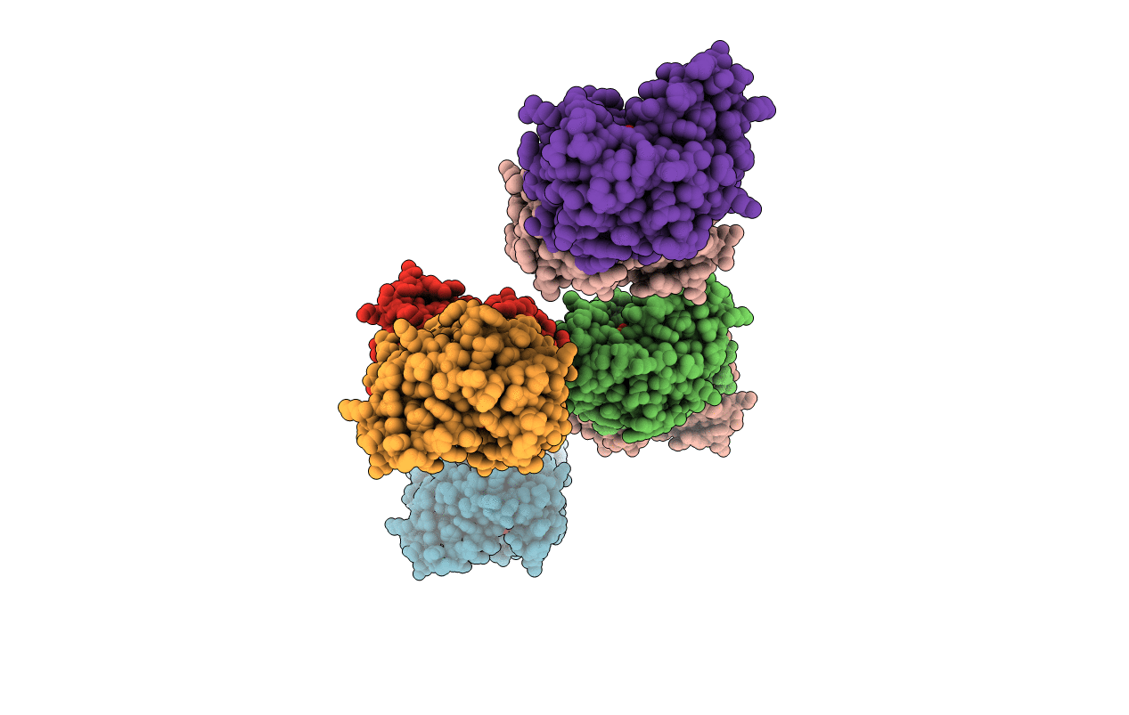 2VP9 image