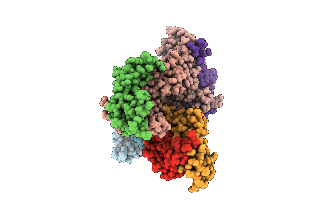 2VPF image