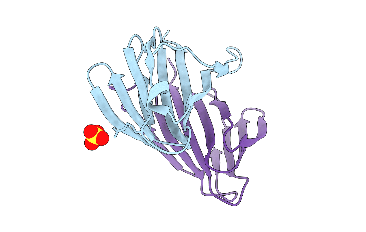 2VPV image