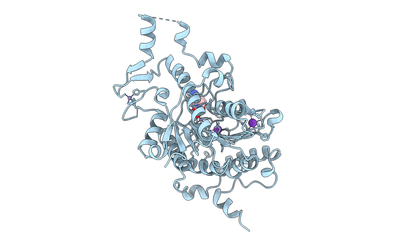 2VQM image