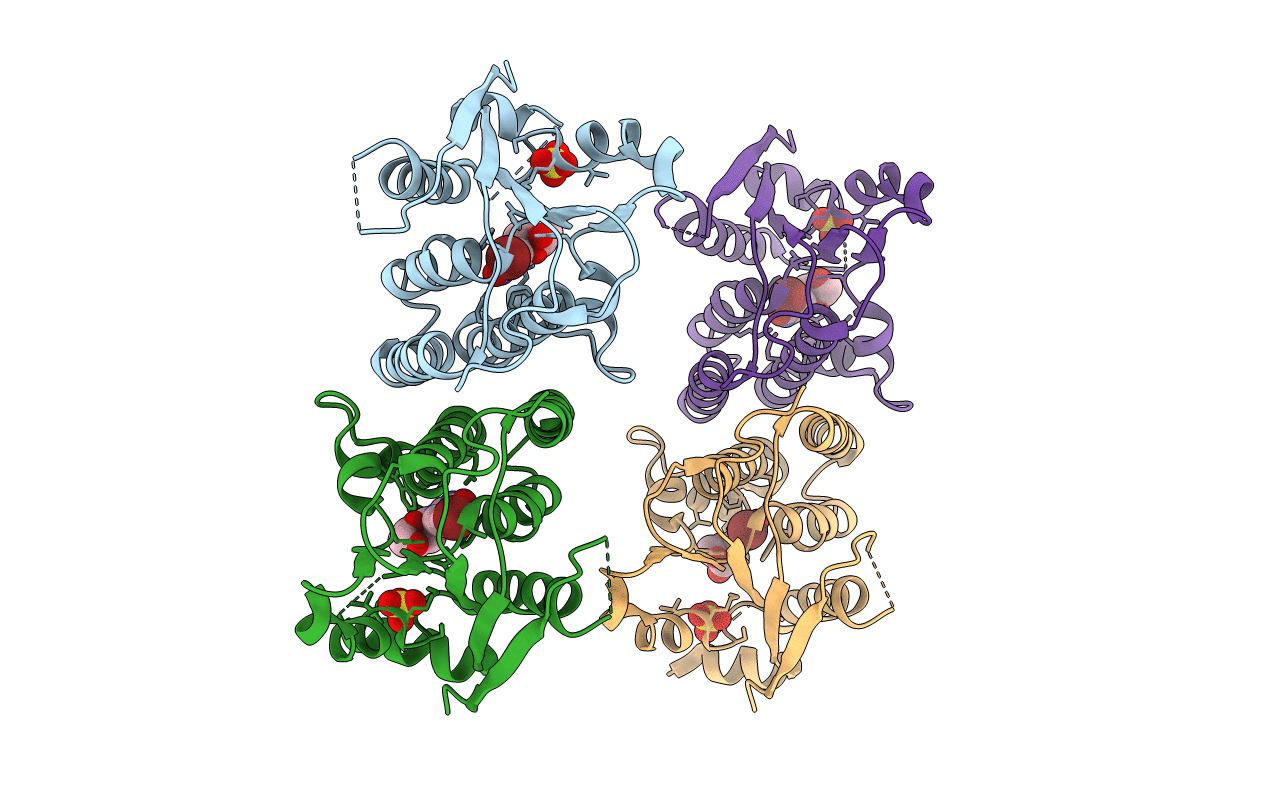 2VQS image