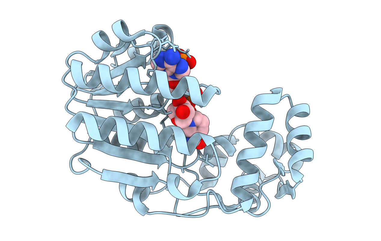 2VRB image