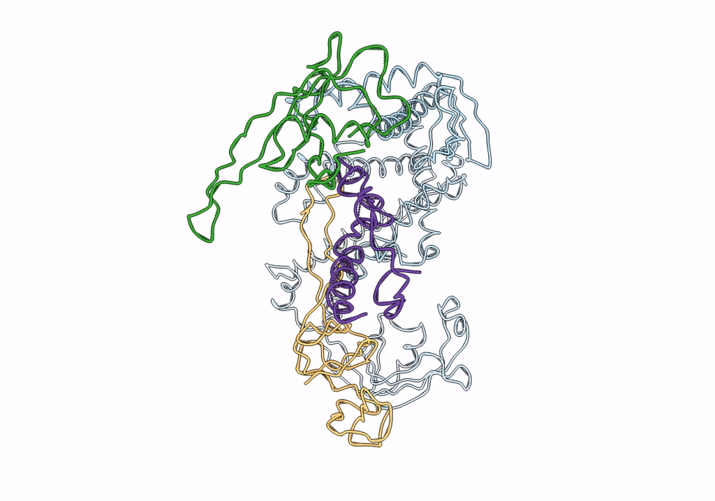2VRH image
