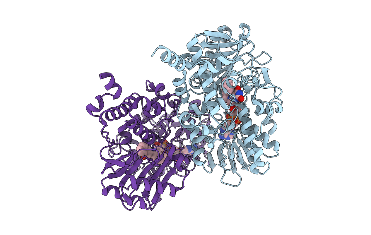 2VRM image