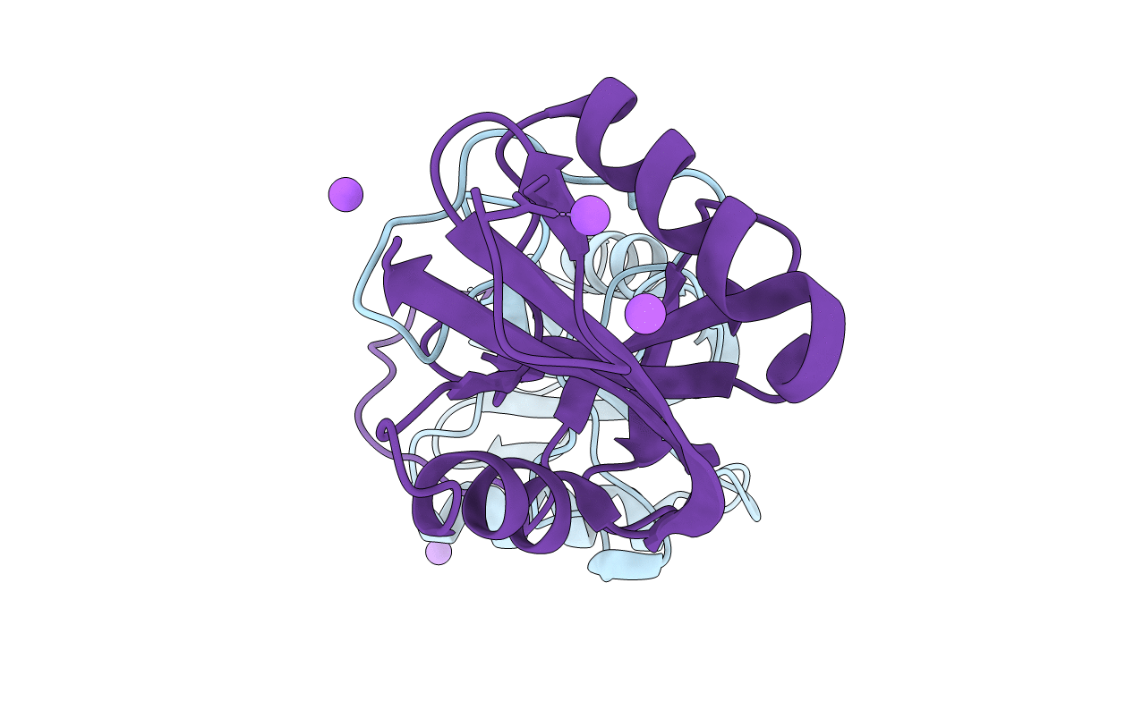 2VRP image
