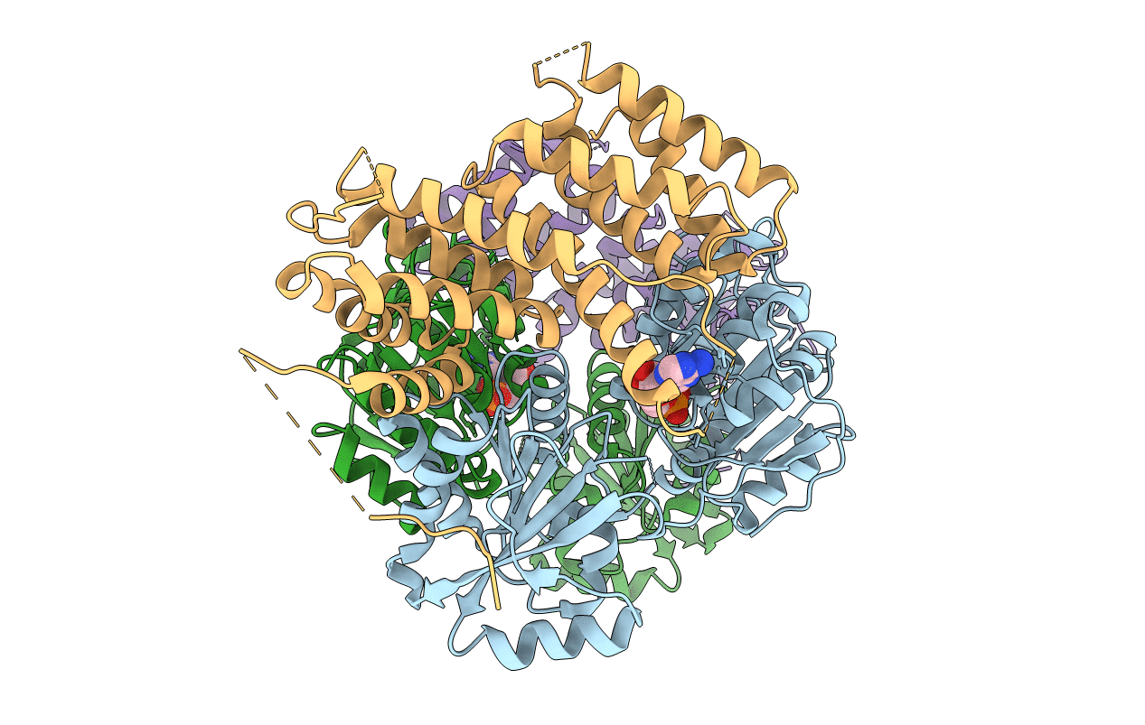 2VSX image