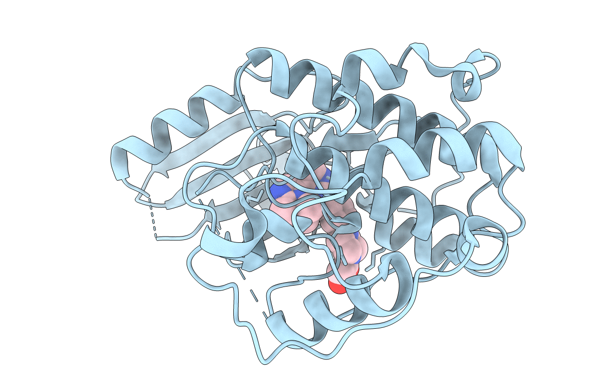 2VV9 image