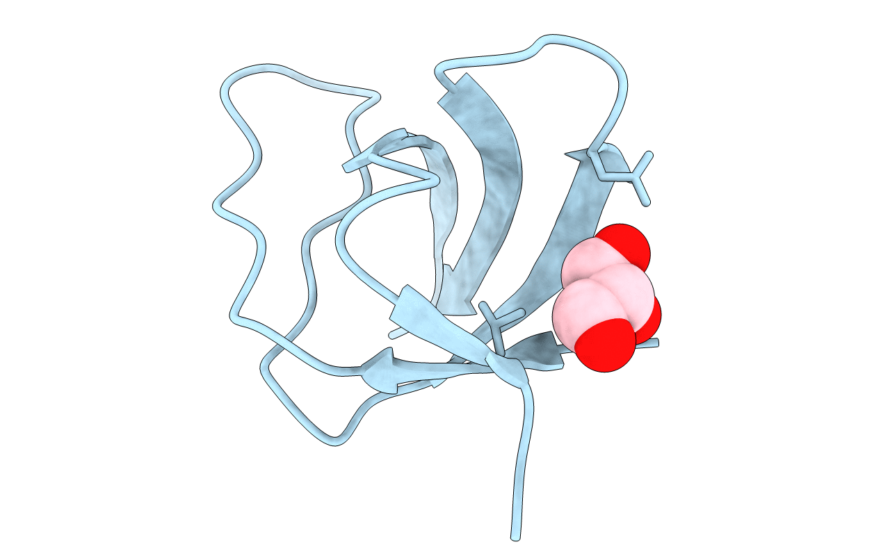 2VVK image