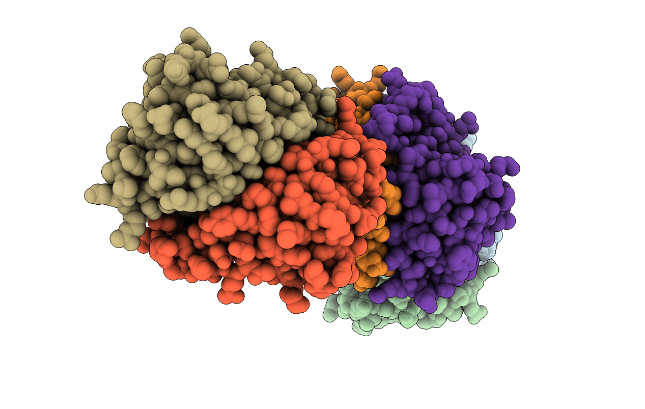 2VVR image