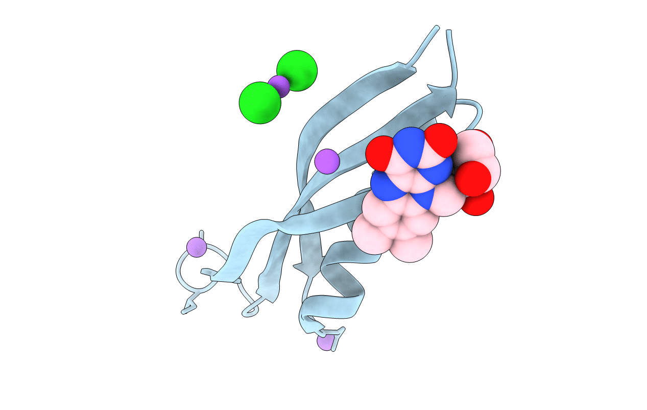 2VX9 image