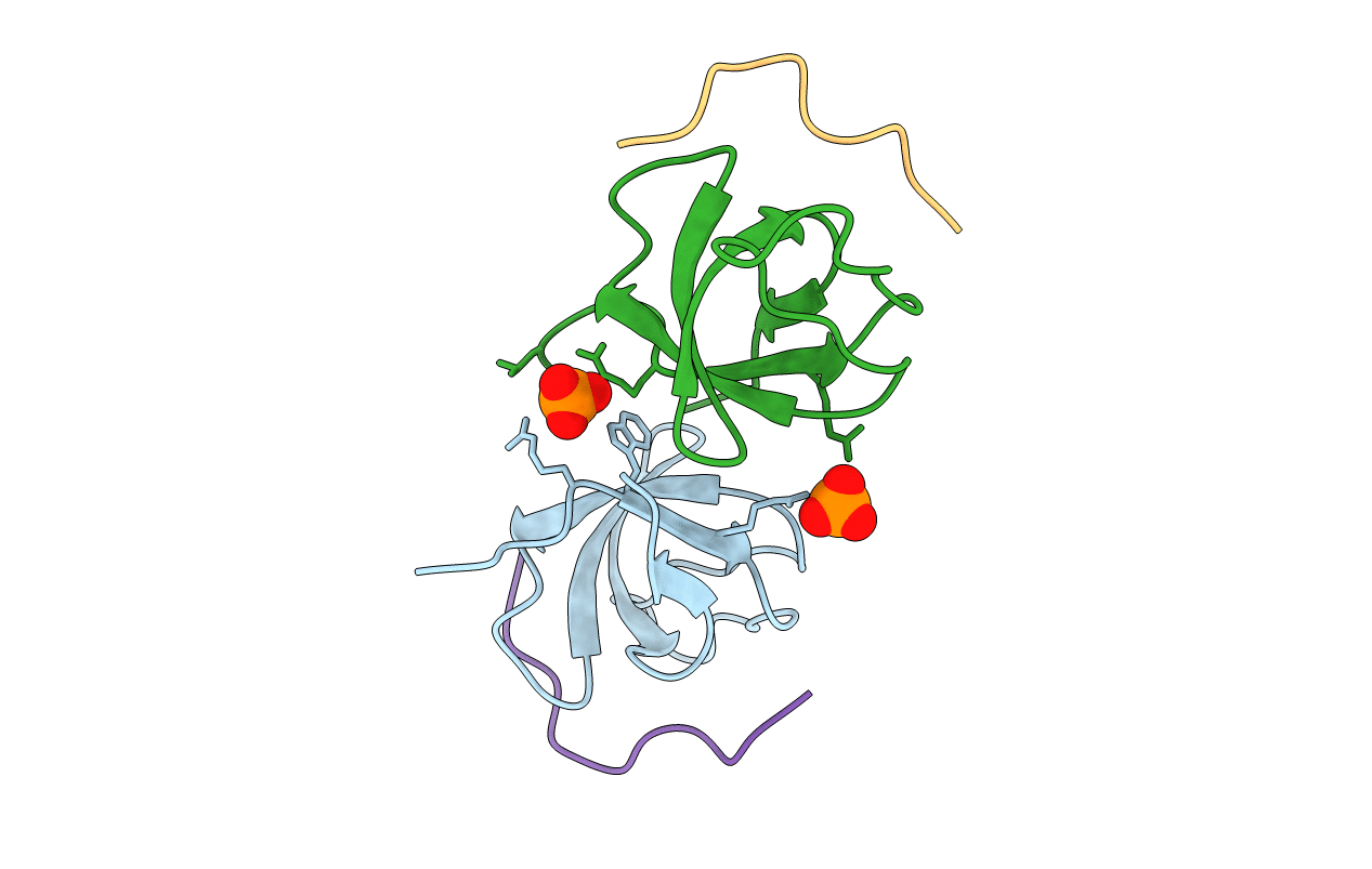 2W10 image