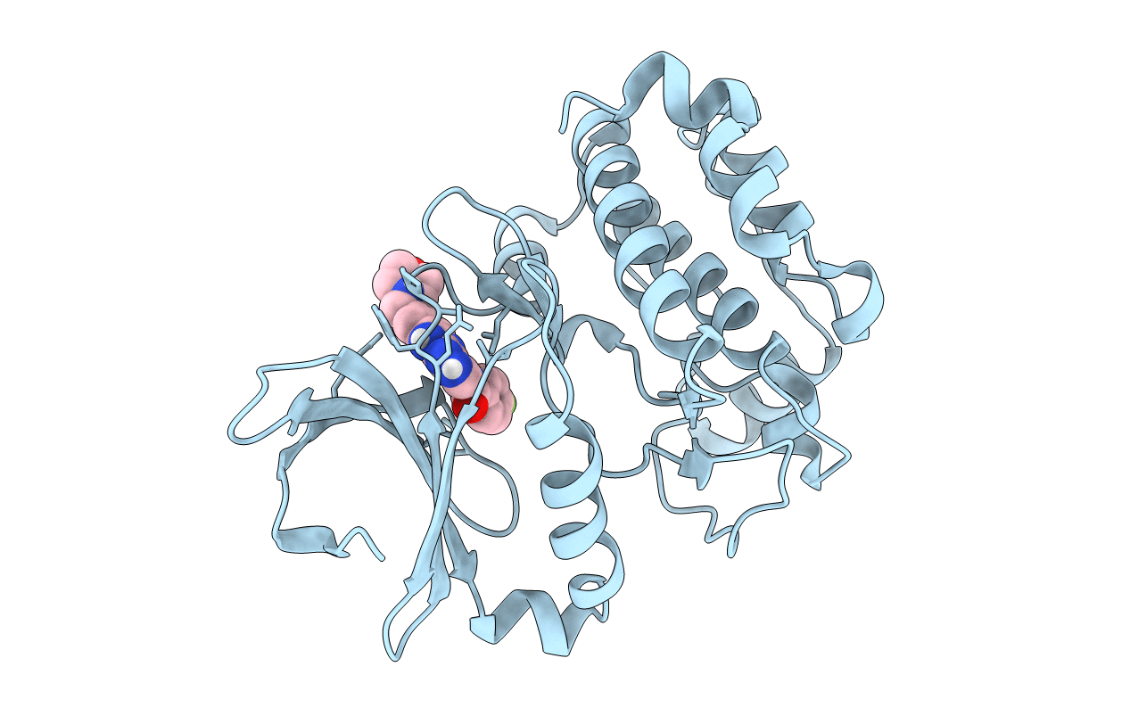 2W1C image