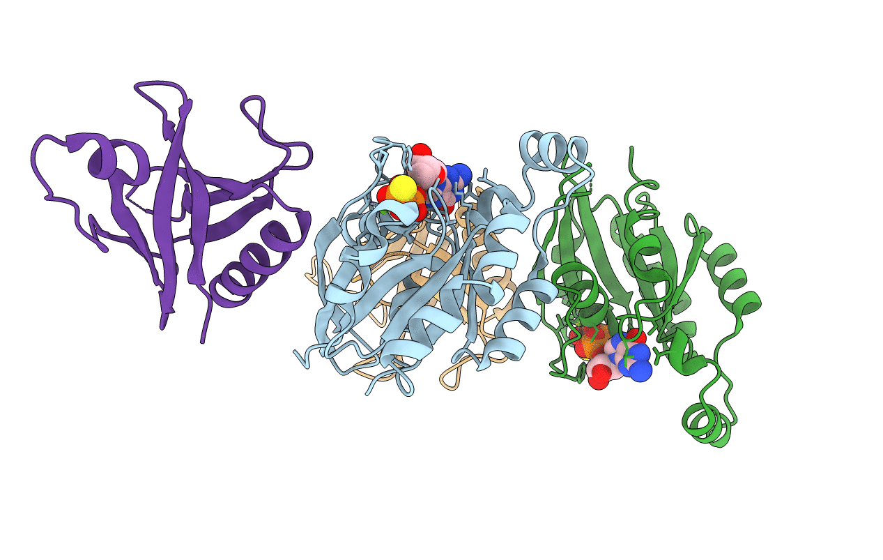2W2X image