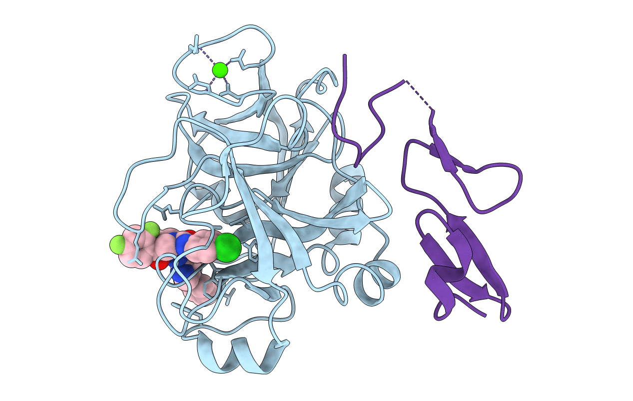 2W3I image