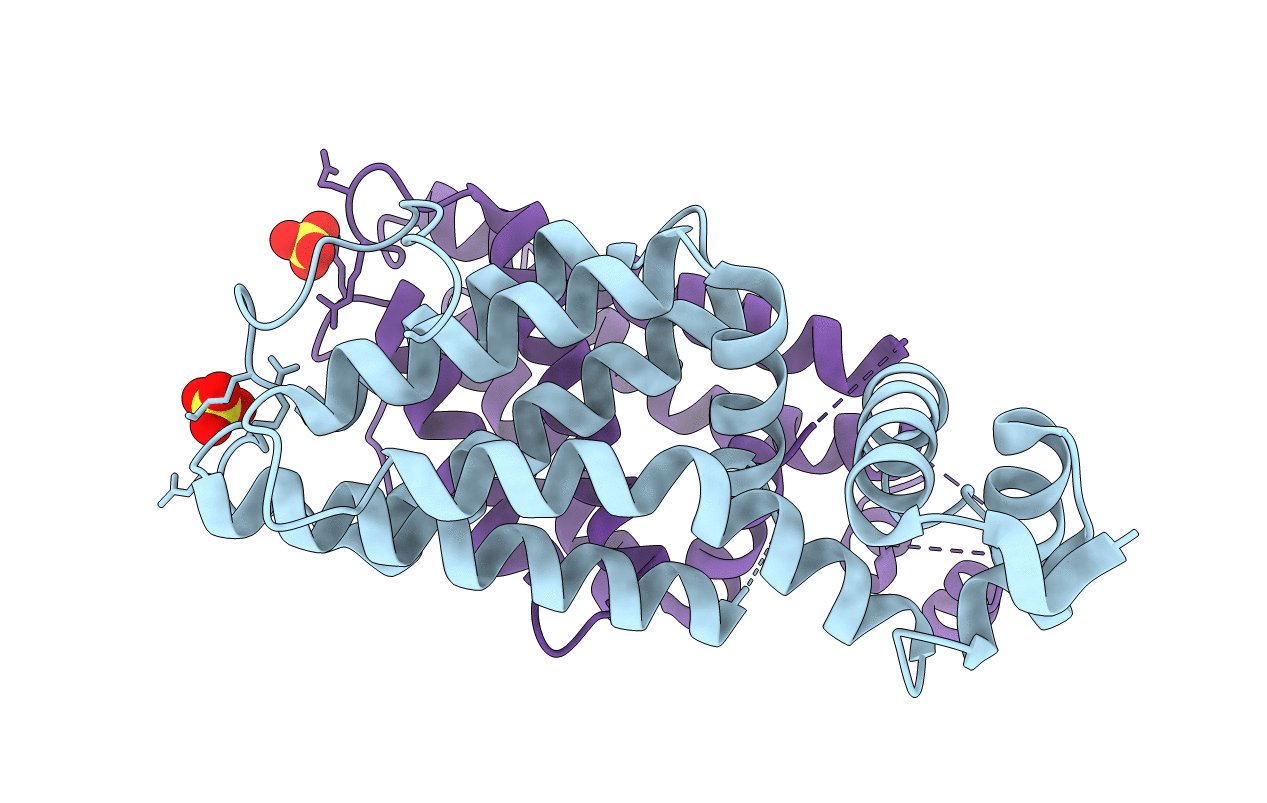 2W53 image