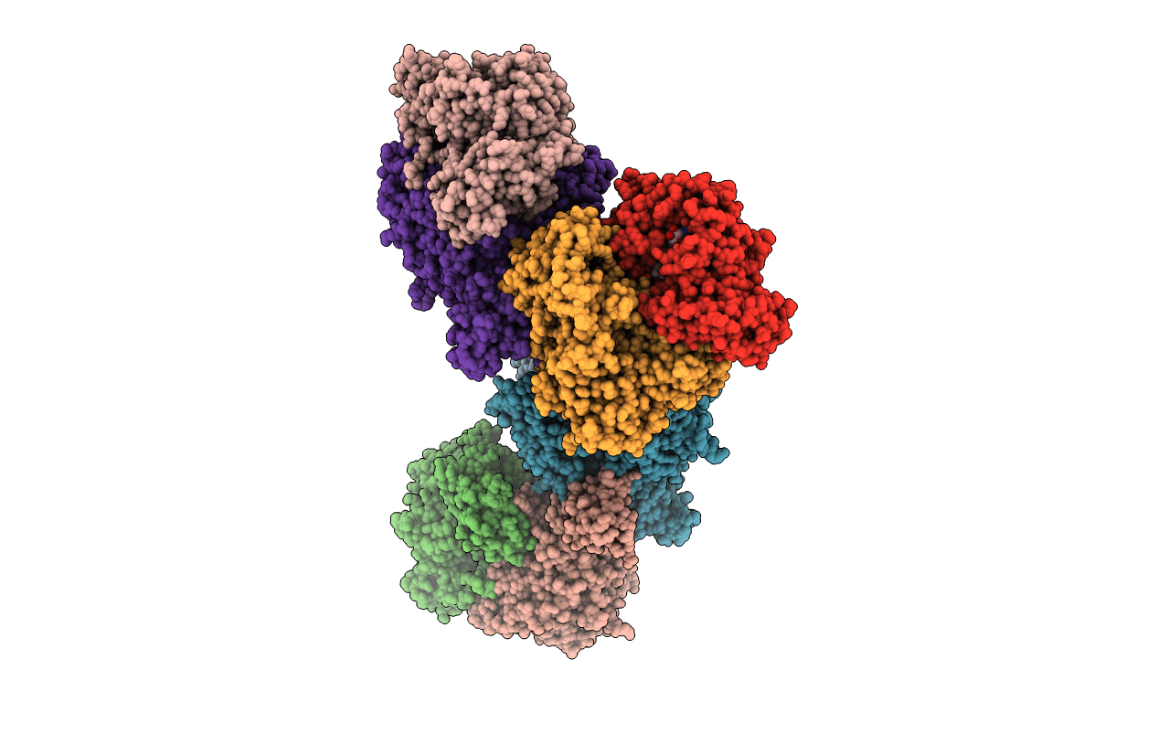 2W55 image