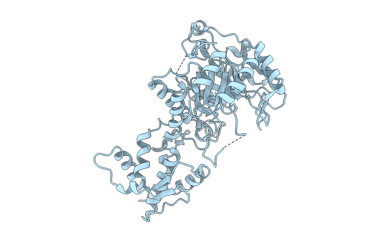 2W61 image