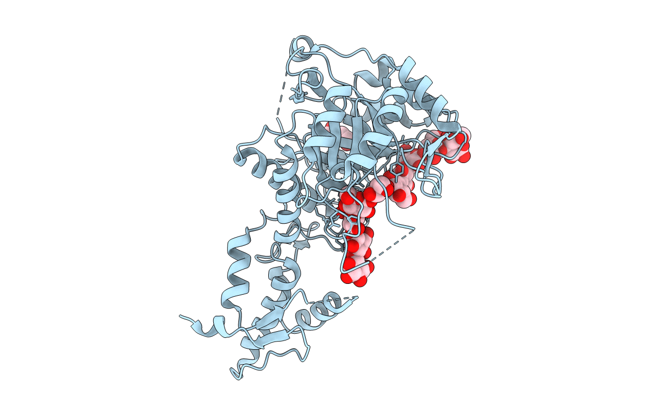 2W62 image