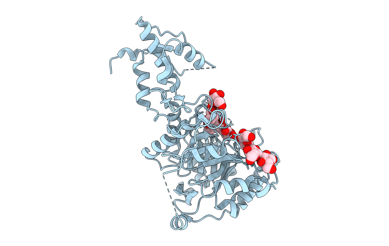 2W63 image