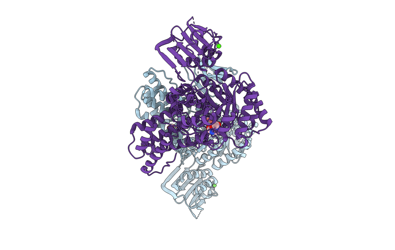 2W67 image