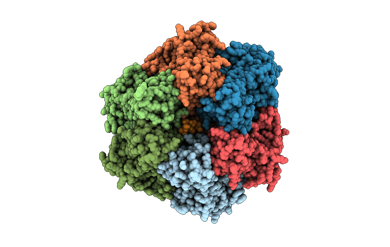 2W6I image