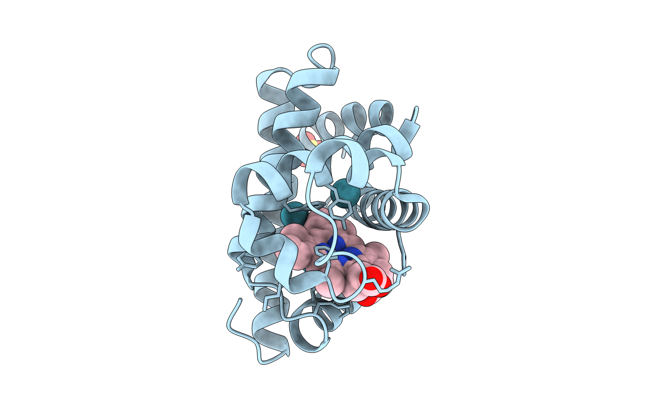 2W6X image