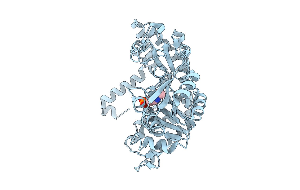2W7I image